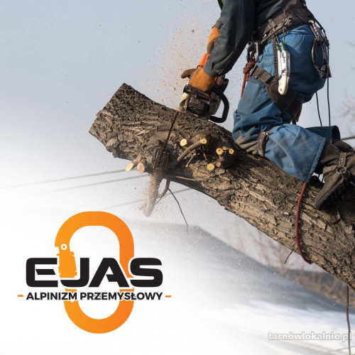 Przycinanie drzew, usługi arborystyczne - EJAS