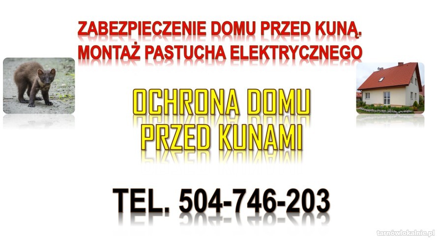 kuna-pastuch-elektryczny-tel-504-746-203-44519-tarnow.jpg